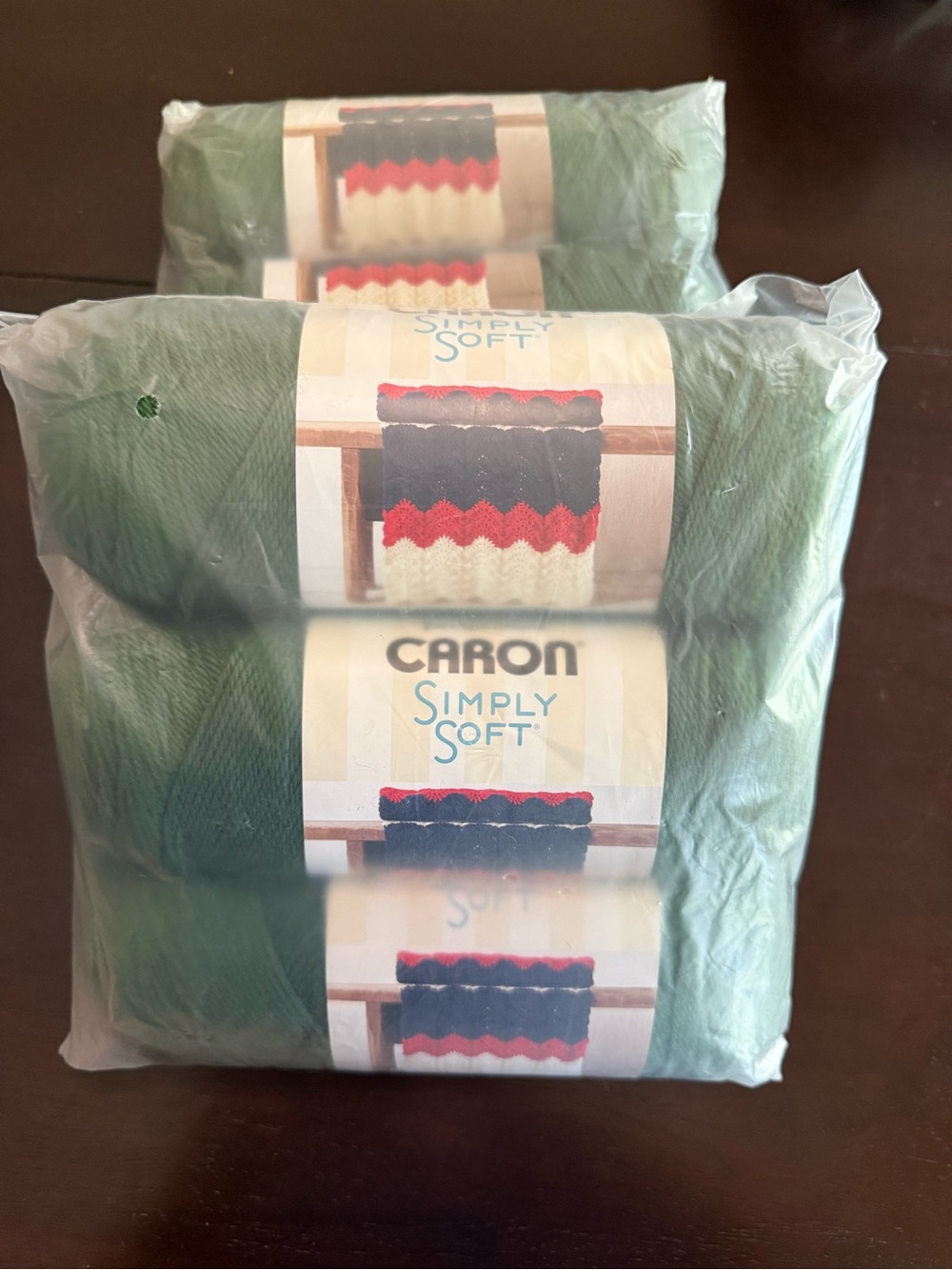 Caron Simply Soft Yarn - Deep Green (Dark Sage)